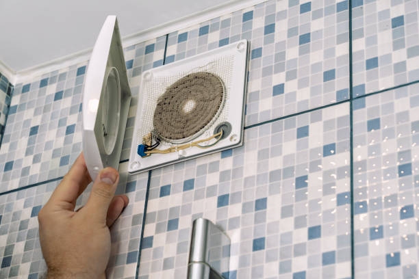 Best Ductwork Cleaning Services  in East Mountain, TX