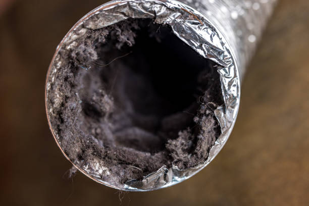 Best Air Duct Cleaning Company Near Me  in East Mountain, TX